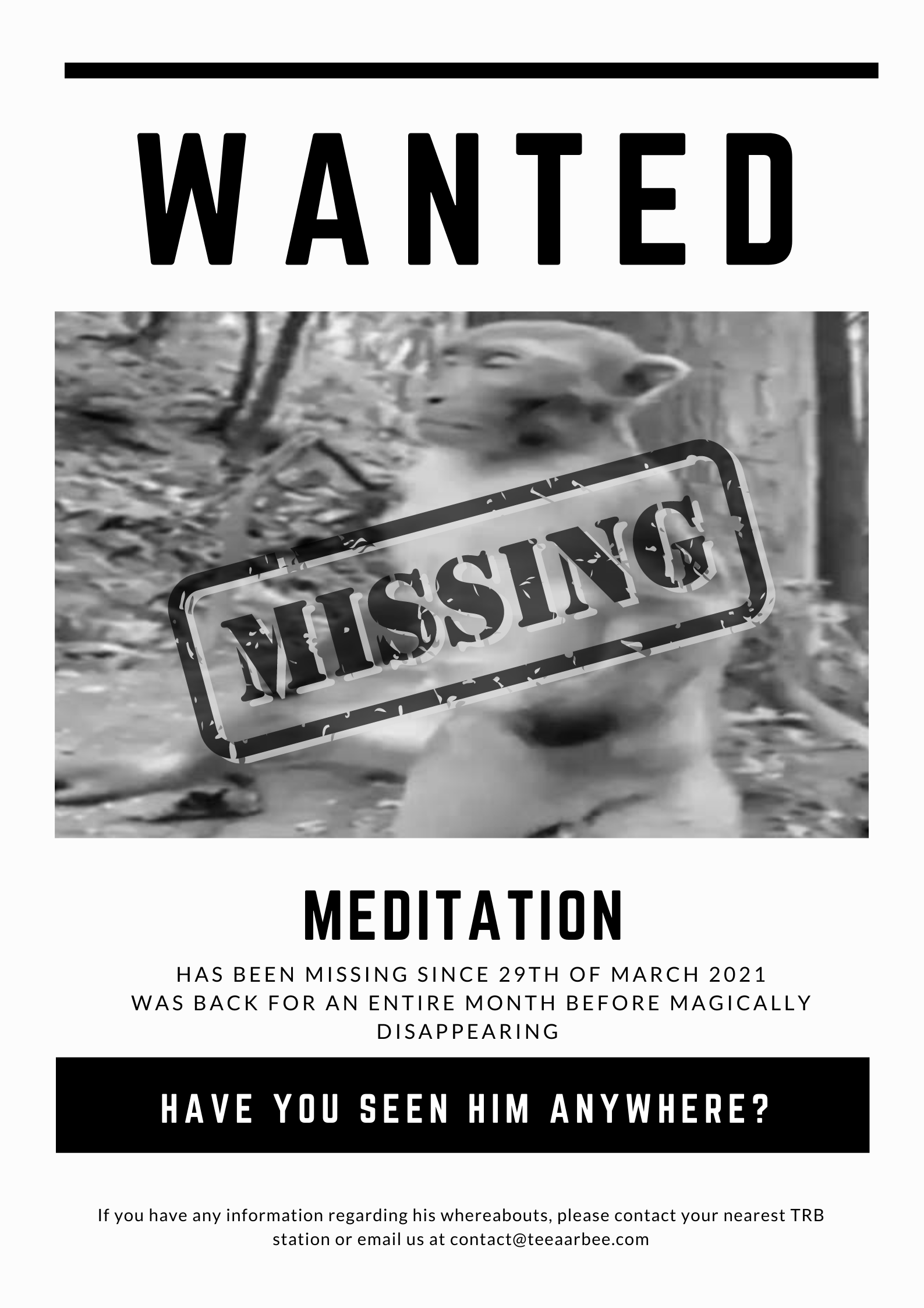 Meditation missing wanted image